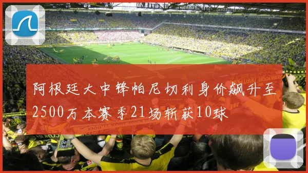阿根廷大中锋帕尼切利身价飙升至2500万本赛季21场斩获10球