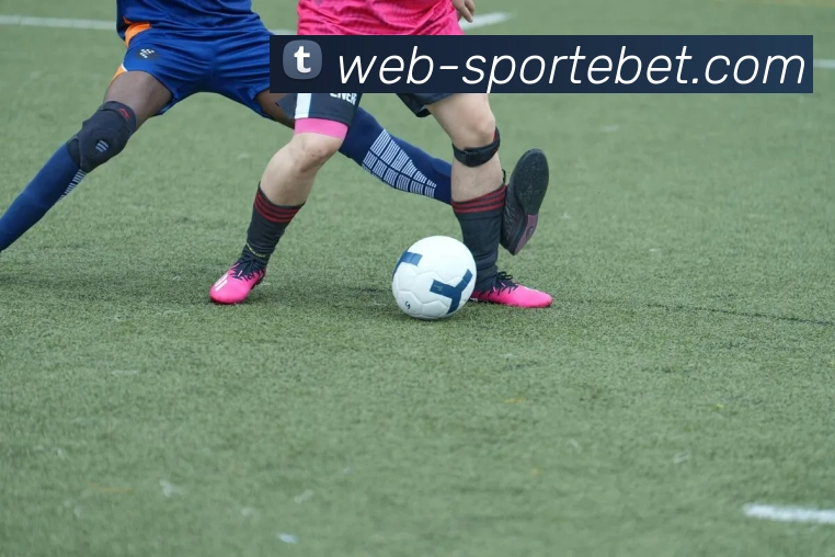 易倍体育APP 高清赛事图