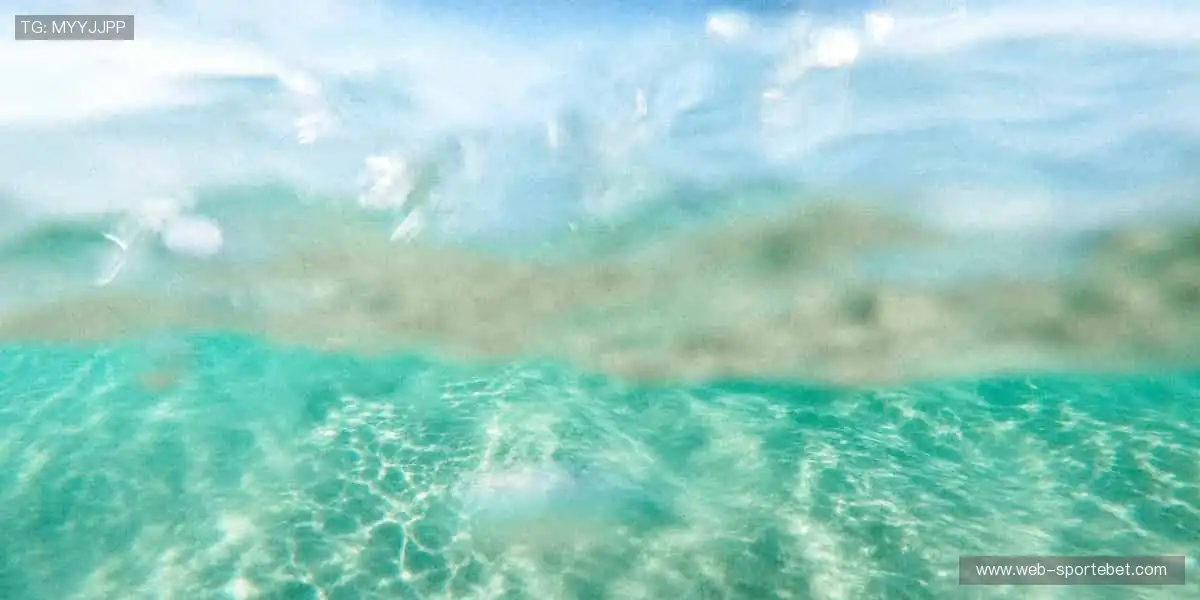 🎁独家周边来袭!限量款球星签名,让热爱触手可及🏅