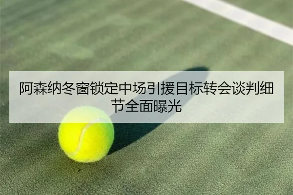 阿森纳冬窗锁定中场引援目标转会谈判细节全面曝光 - EMCSPORTS